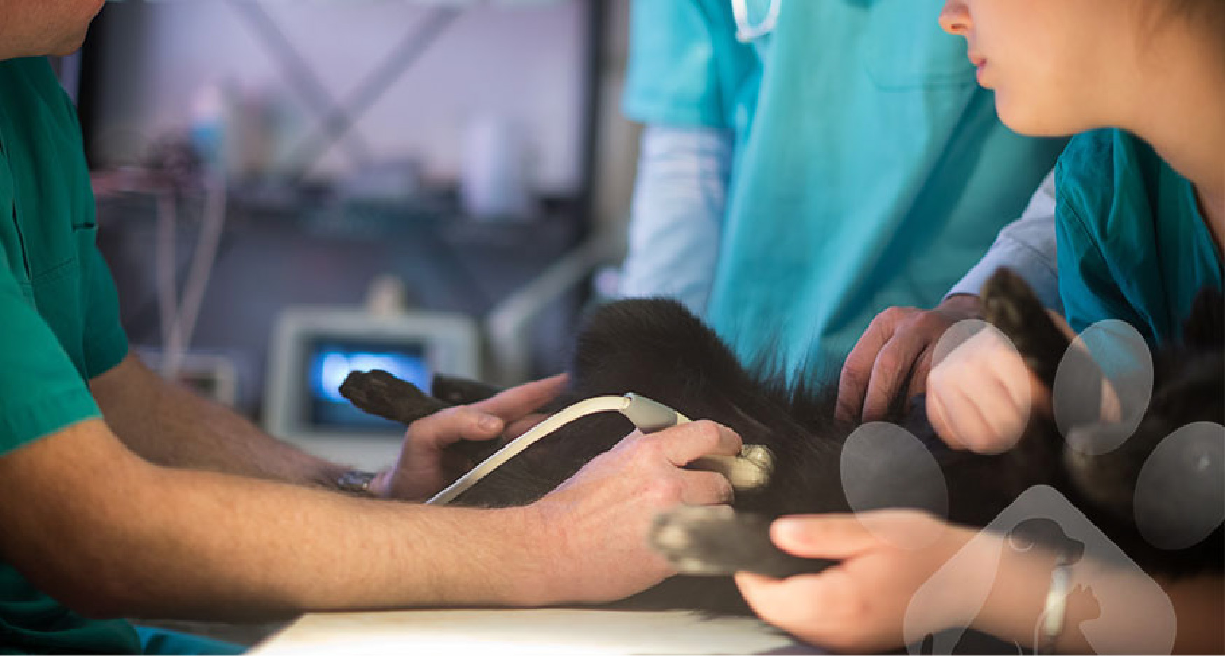  Ультразвуковая визуализация